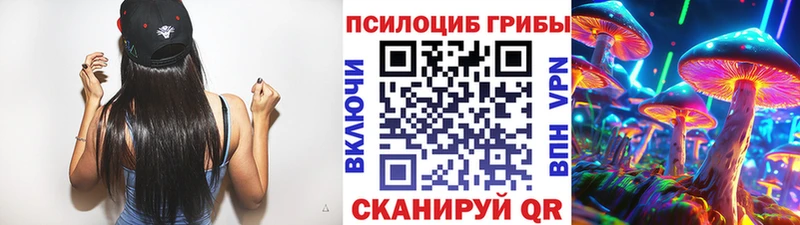 Галлюциногенные грибы мицелий  Купить  Махачкала 